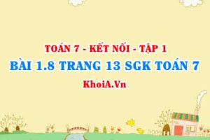 Bài 1.8 trang 13 SGK Toán 7 tập 1 Kết nối tri thức